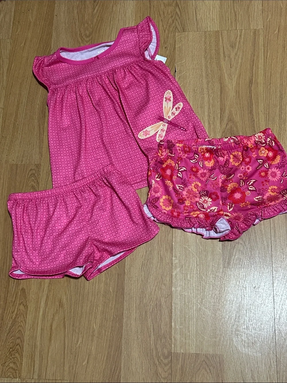 Carter's Pink Floral & Dragonfly Matching Set Size  4T NWT